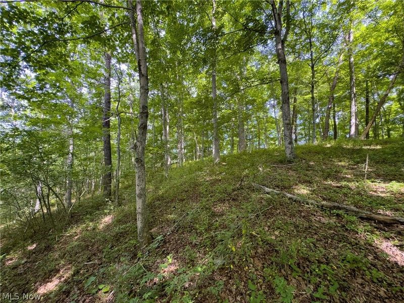 Tract 5 Jake Road, Patriot, OH 45658 Photo 6