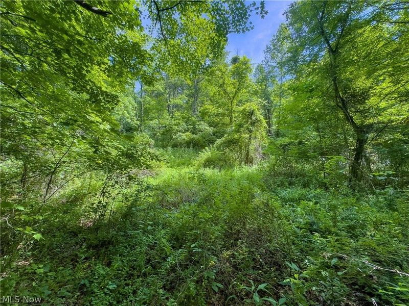 Tract 5 Jake Road, Patriot, OH 45658 Photo 7