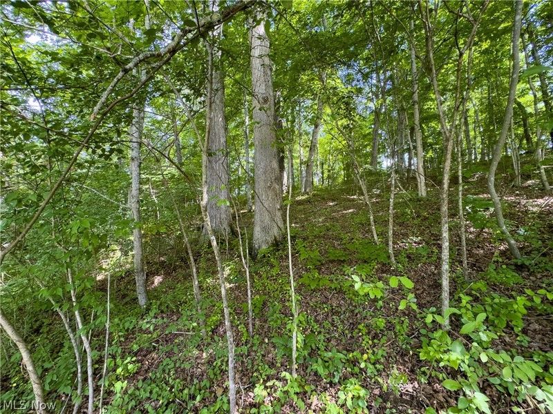Tract 5 Jake Road, Patriot, OH 45658 Photo 9
