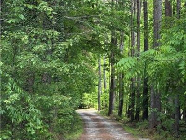 340 Wash Wilson Loop , Blue Ridge, GA 30513