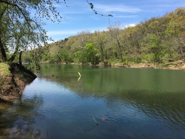 31197 Hidden Hills Road , Richland, MO 65556