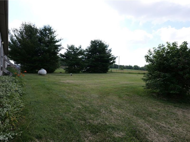 47095 Timber Run Street, New Waterford, OH 44445 Photo 5