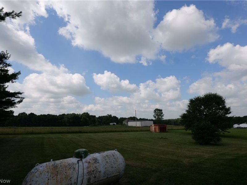 47095 Timber Run Street, New Waterford, OH 44445 Photo 6