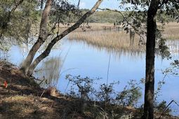27 Pleasant Place Dr photo 4