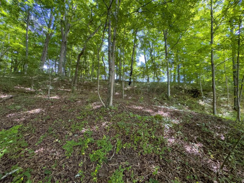 Tract 5 Jake Road , Patriot, OH 45658 Photo 10