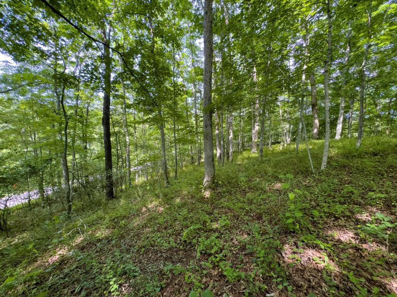 Tract 5 Jake Road , Patriot, OH 45658 Photo 11
