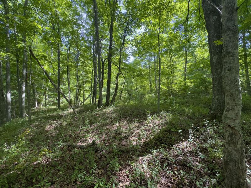 Tract 5 Jake Road , Patriot, OH 45658 Photo 12