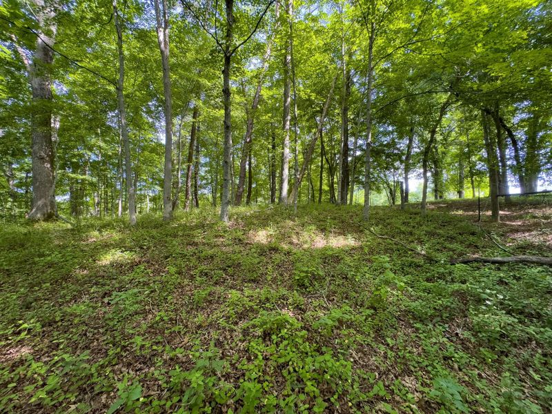 Tract 5 Jake Road , Patriot, OH 45658 Photo 14