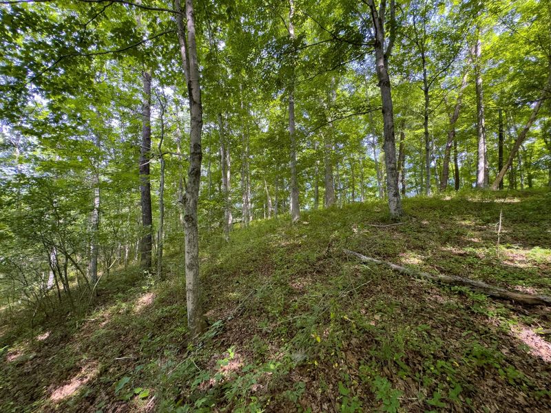 Tract 5 Jake Road , Patriot, OH 45658 Photo 6