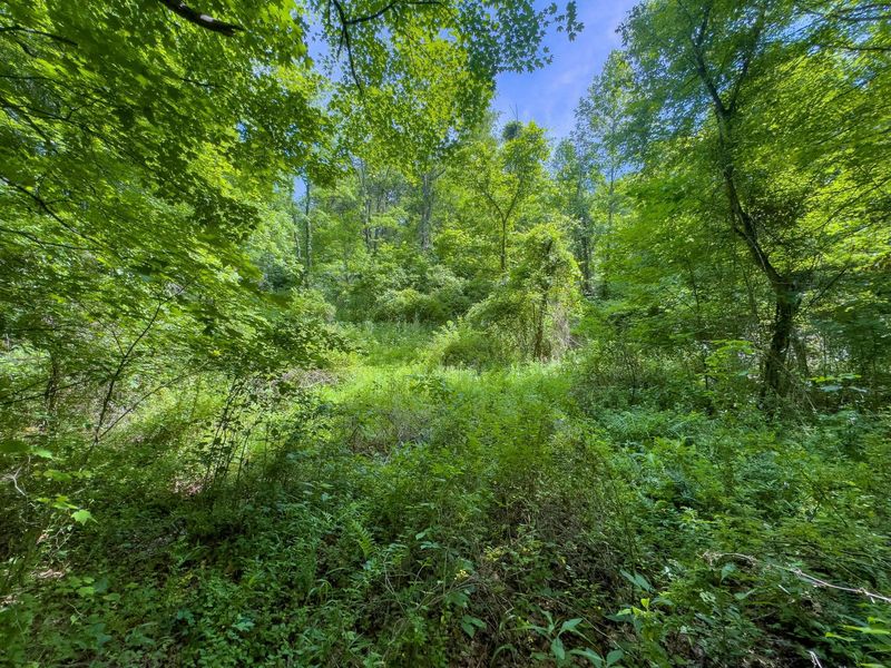 Tract 5 Jake Road , Patriot, OH 45658 Photo 7