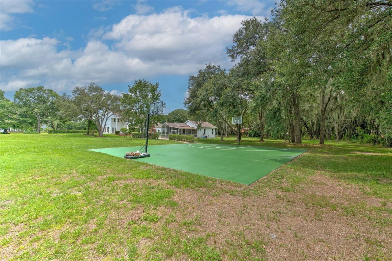 11444 Hammock Oaks Ct, Lithia, FL 33547 Photo