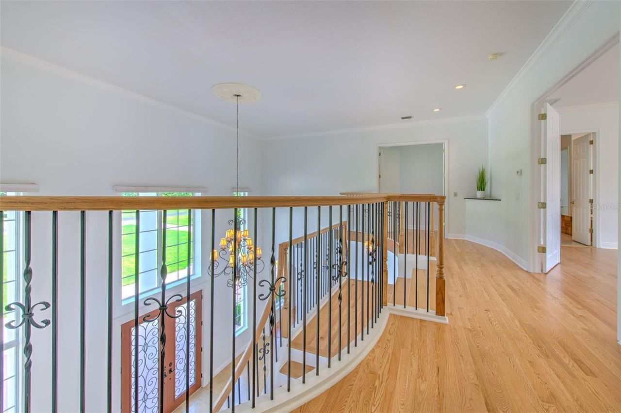 11444 Hammock Oaks Ct, Lithia, FL 33547 Photo