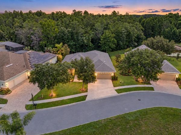14834 MAN O WAR DRIVE, ODESSA, FL 33556