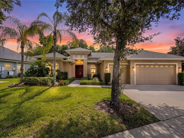 14834 MAN O WAR DRIVE , ODESSA, FL 33556