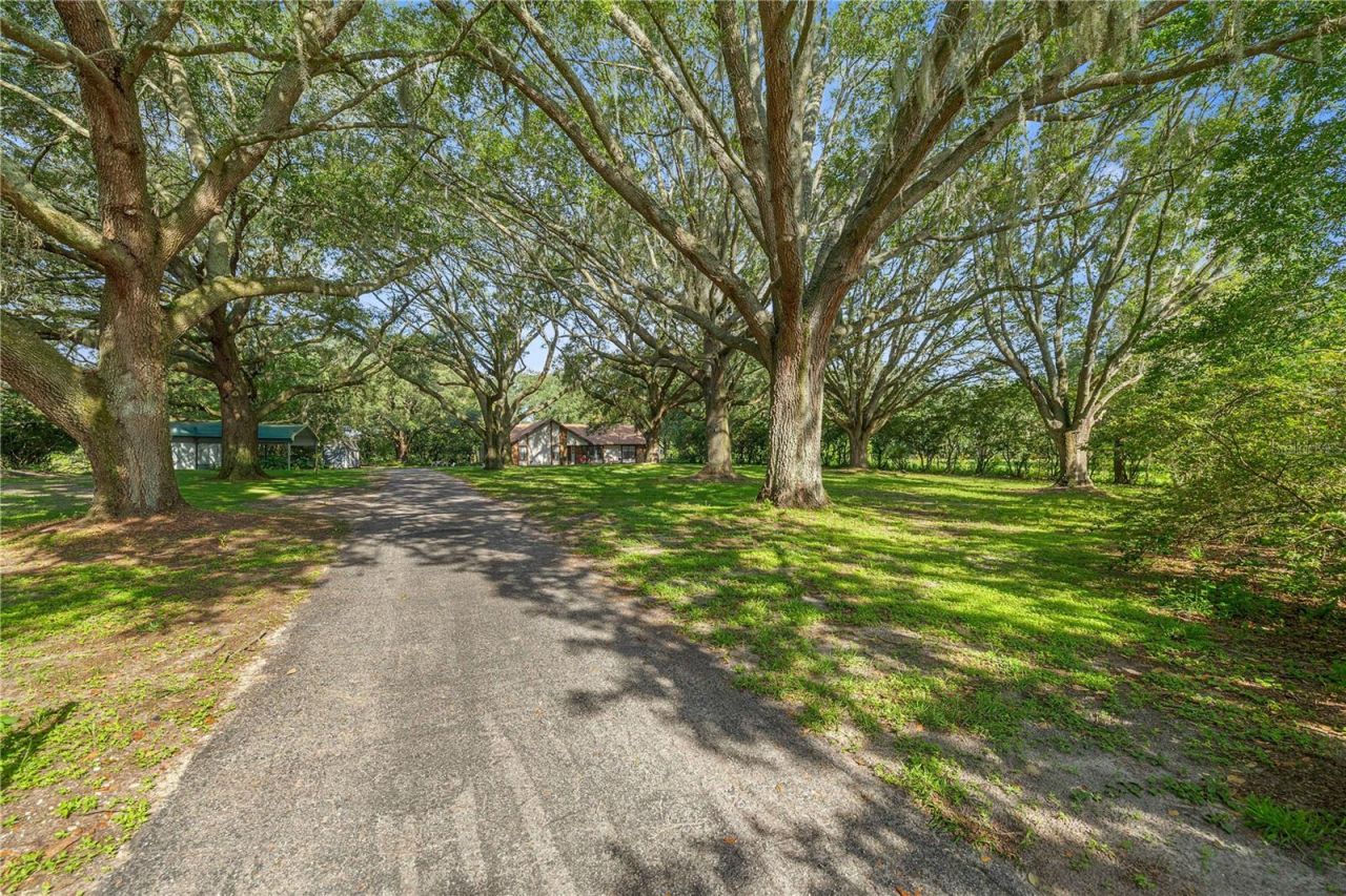 16250 SW 20th Avenue Road, Ocala, FL 34473 Photo