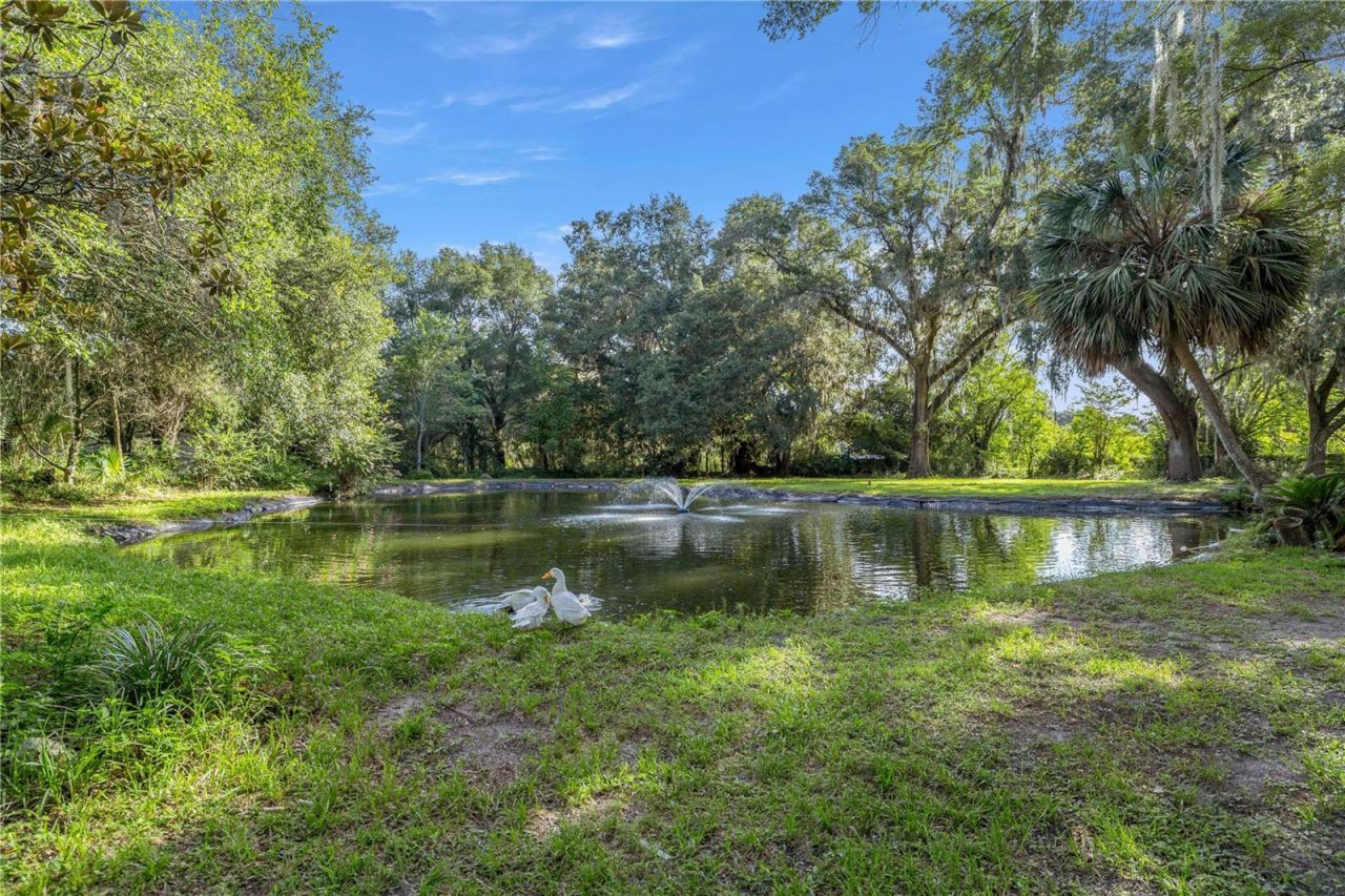 16250 SW 20th Avenue Road, Ocala, FL 34473 Photo