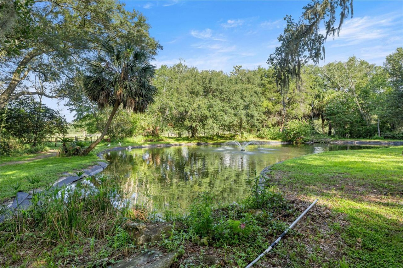 16250 SW 20th Avenue Road, Ocala, FL 34473 Photo