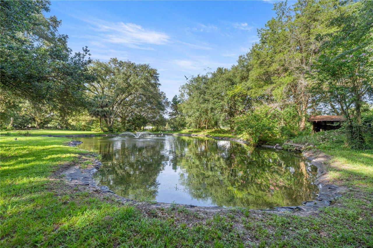16250 SW 20th Avenue Road, Ocala, FL 34473 Photo