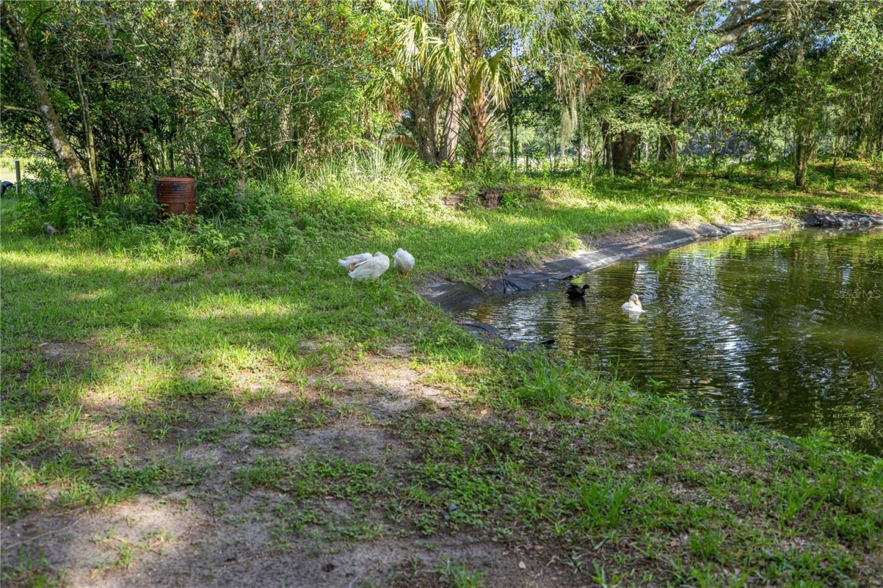 16250 SW 20th Avenue Road, Ocala, FL 34473 Photo