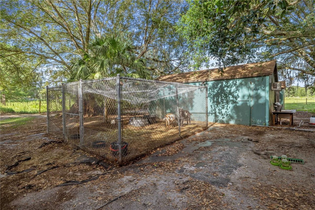 16250 SW 20th Avenue Road, Ocala, FL 34473 Photo