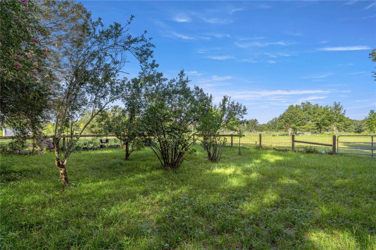 16250 SW 20th Avenue Road, Ocala, FL 34473 Photo