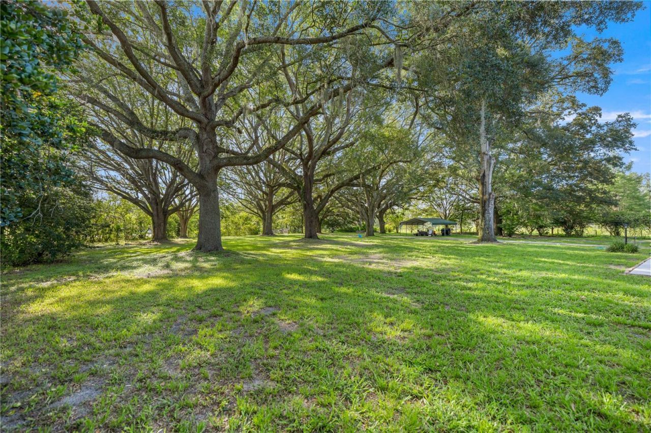 16250 SW 20th Avenue Road, Ocala, FL 34473 Photo