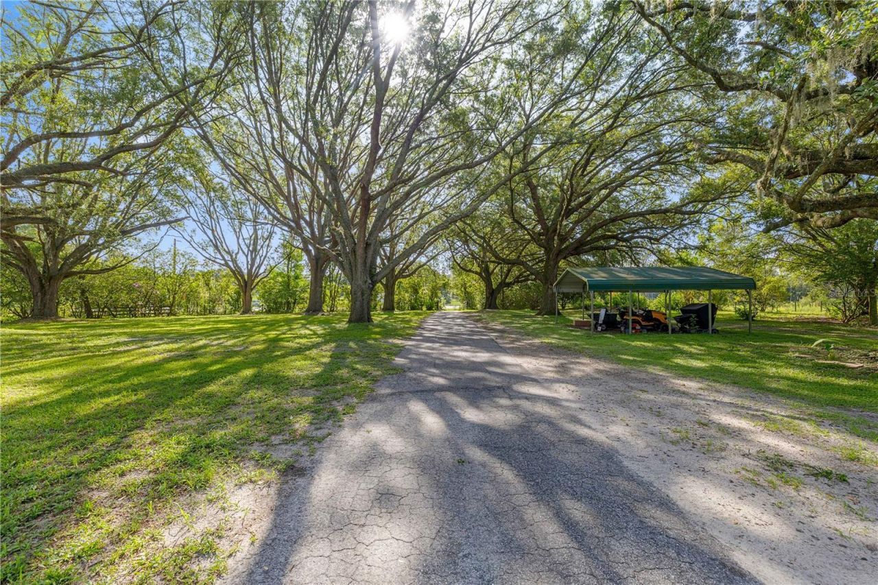 16250 SW 20th Avenue Road, Ocala, FL 34473 Photo