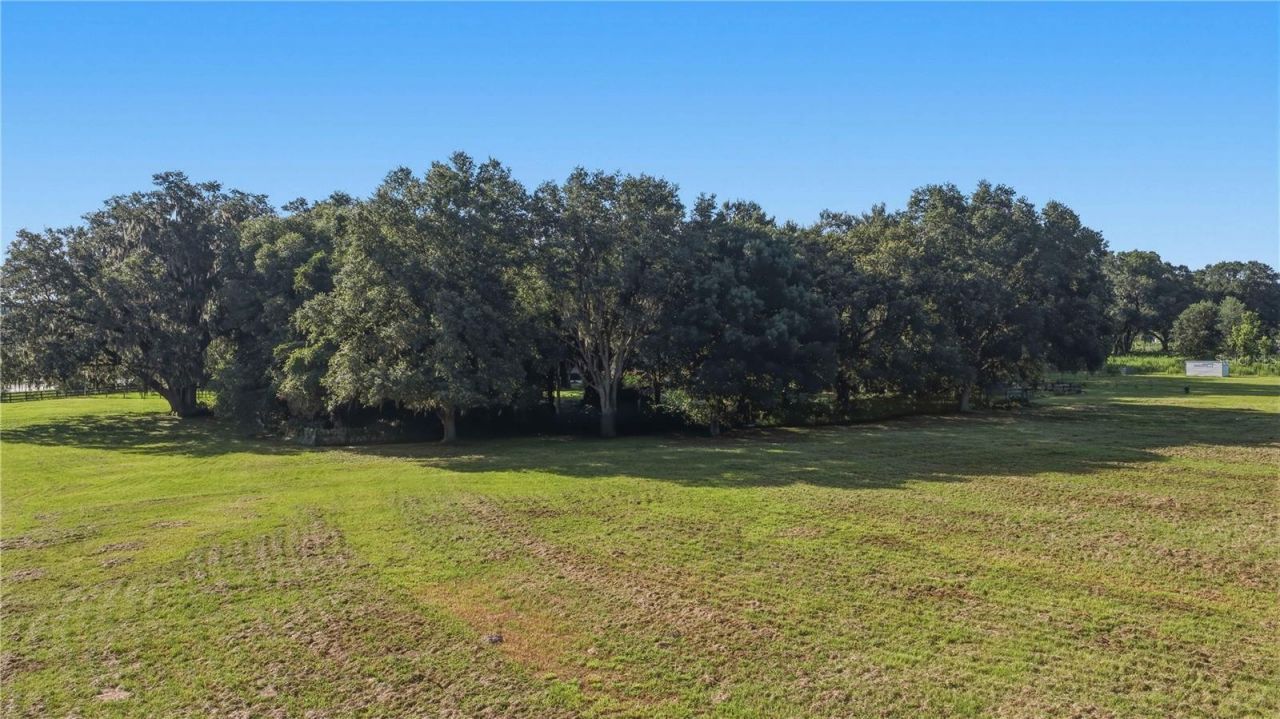 16250 SW 20th Avenue Road, Ocala, FL 34473 Photo