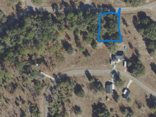 GUAVA TERRACE , OCKLAWAHA, FL 32179