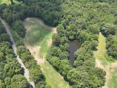000  Hwy 1591 (South Tract), Bardwell, KY 42023