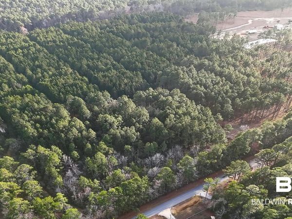 0 Hemley Road, Coden, AL 36523