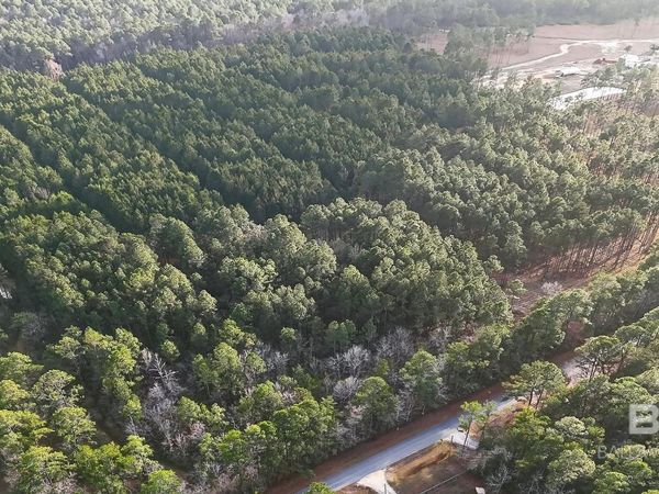 0 Hemley Road, Coden, AL 36523