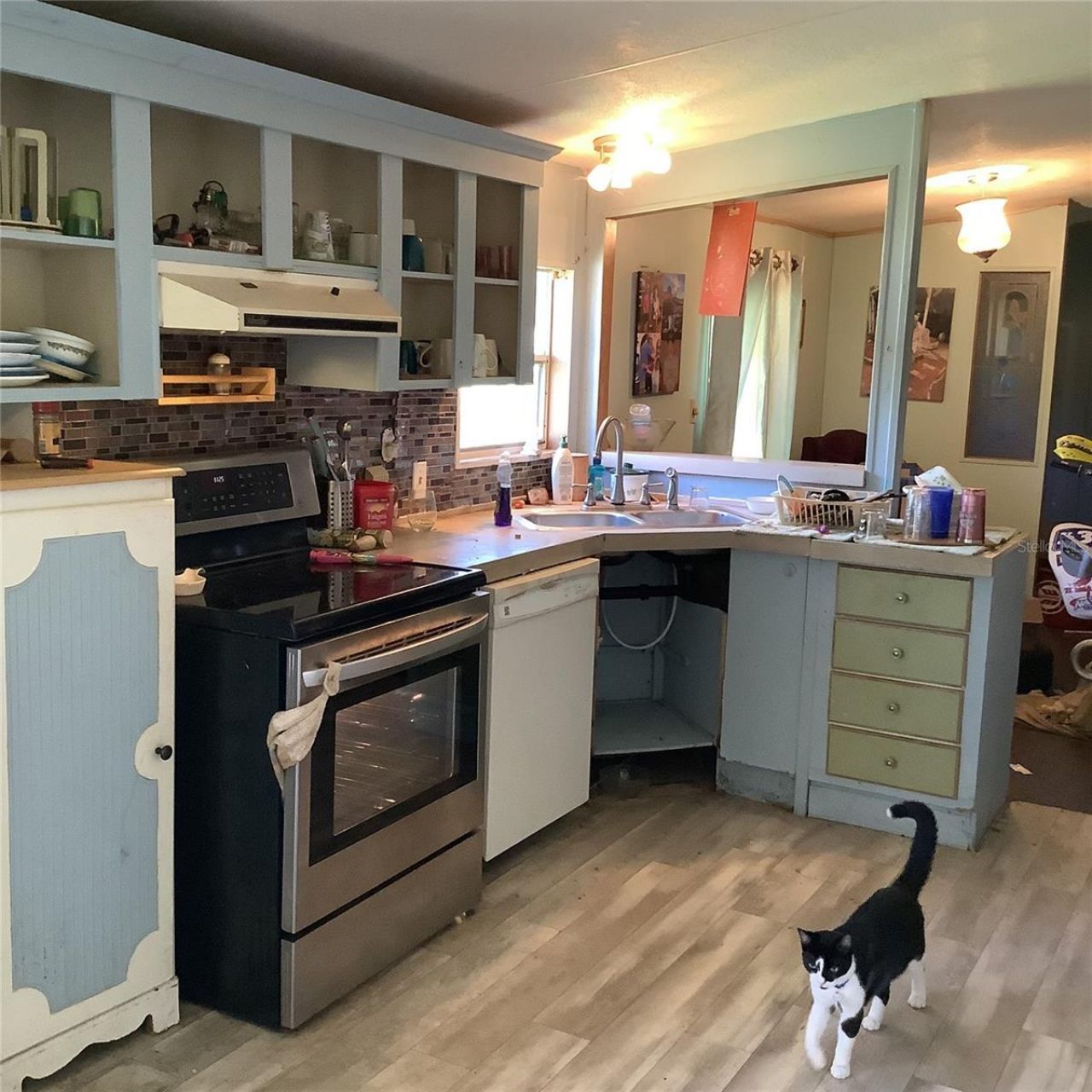 20406 Blue Wing Road , Altoona, FL 32702 Photo