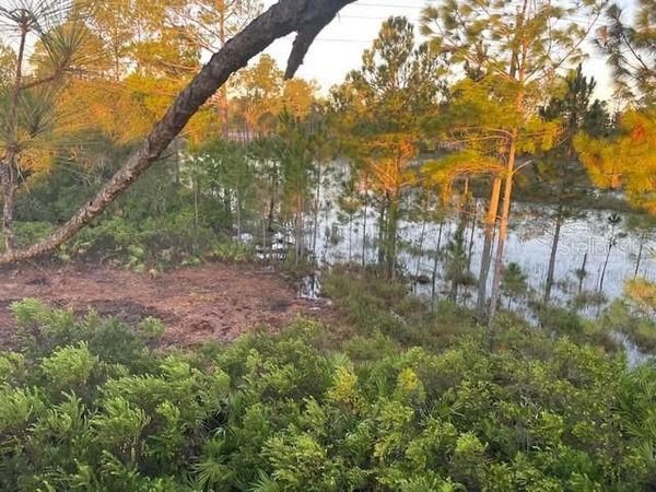 43820 REDLANDS DRIVE , DELAND, FL 32720