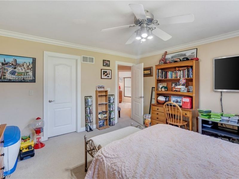11535 Sunny Lake Drive, New Middletown, OH 44442 Photo 39