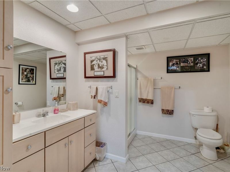 11535 Sunny Lake Drive, New Middletown, OH 44442 Photo 43