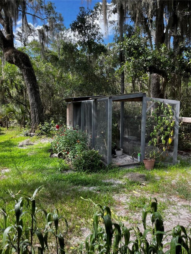 110 Plumosa Drive , Georgetown, FL 32139 Photo