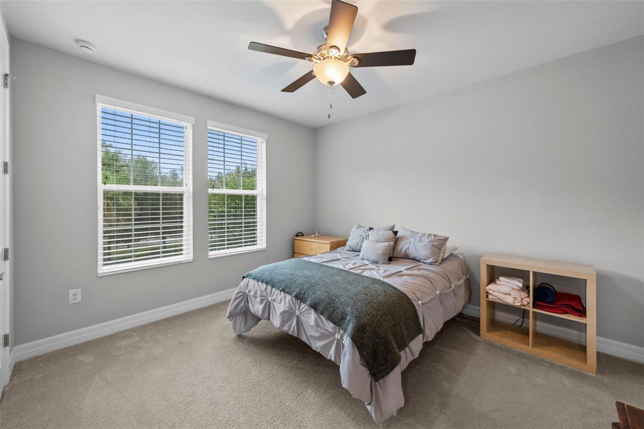 2608 Meadow Grange Lane, Lutz, FL 33559 Photo