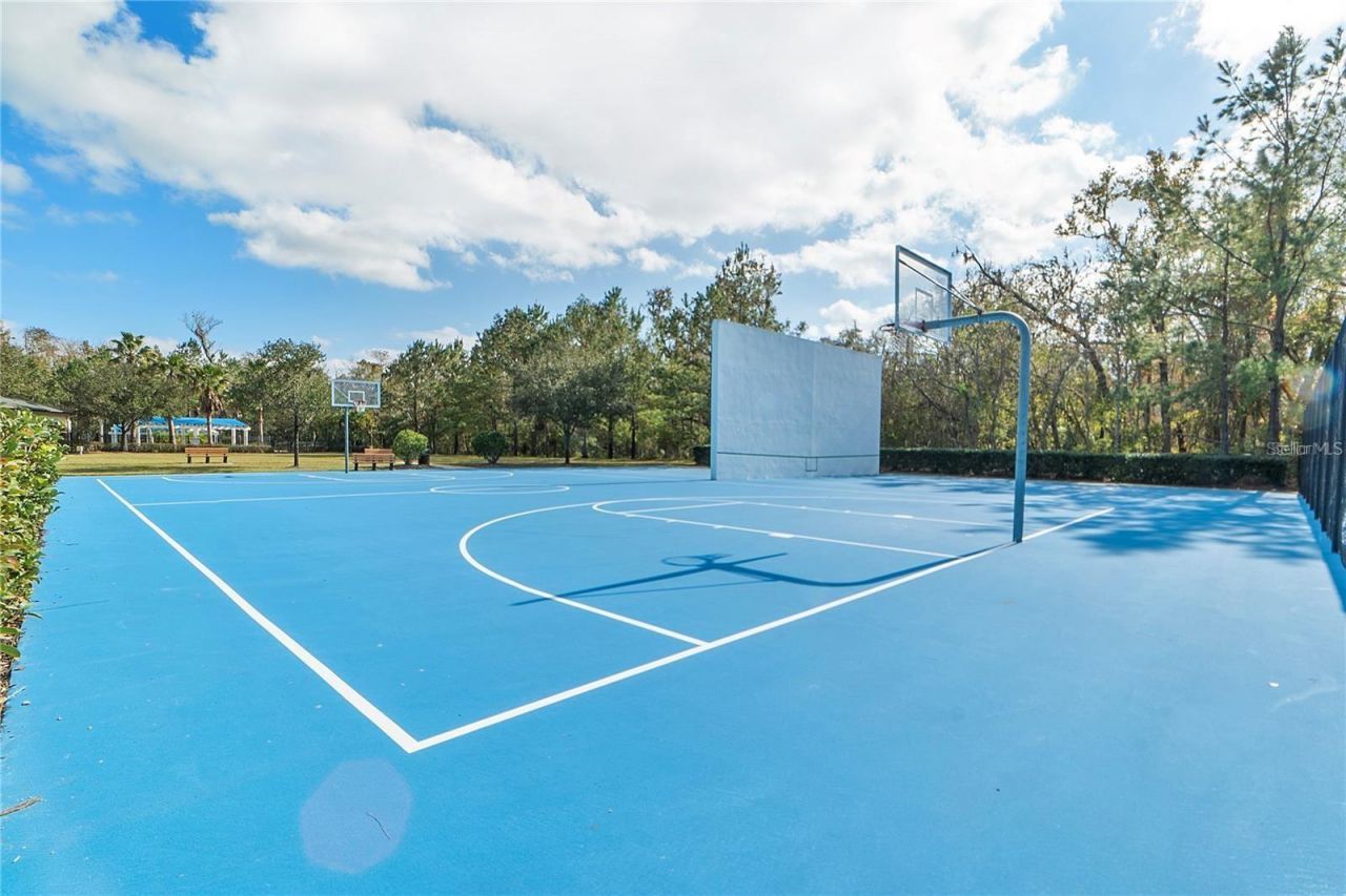 2608 Meadow Grange Lane, Lutz, FL 33559 Photo