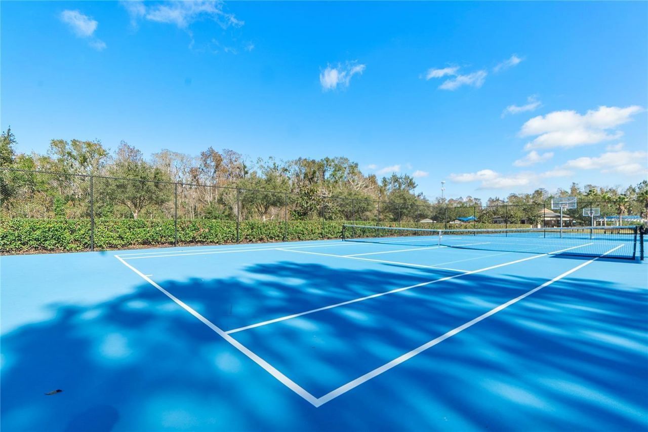 2608 Meadow Grange Lane, Lutz, FL 33559 Photo