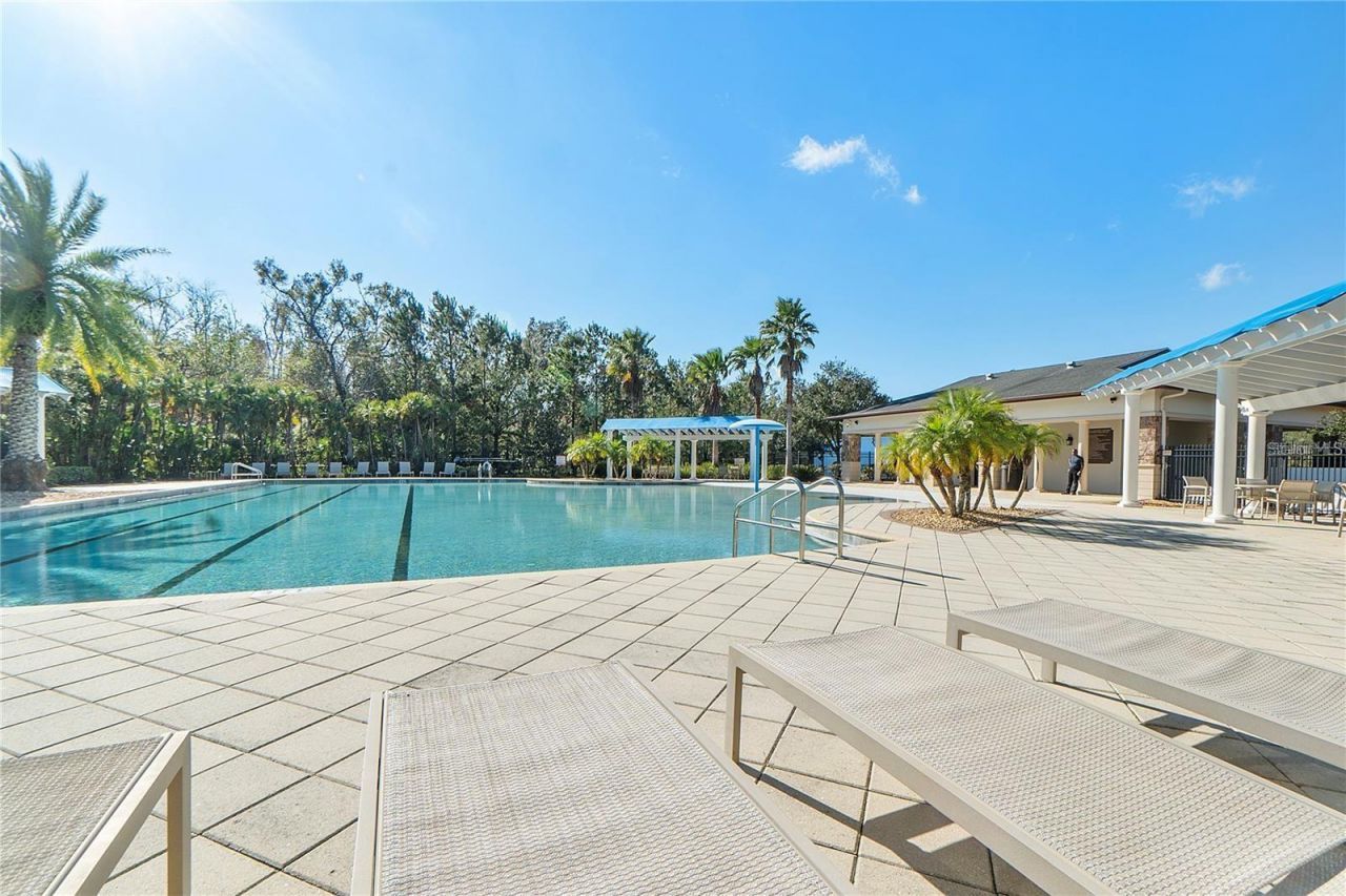 2608 Meadow Grange Lane, Lutz, FL 33559 Photo