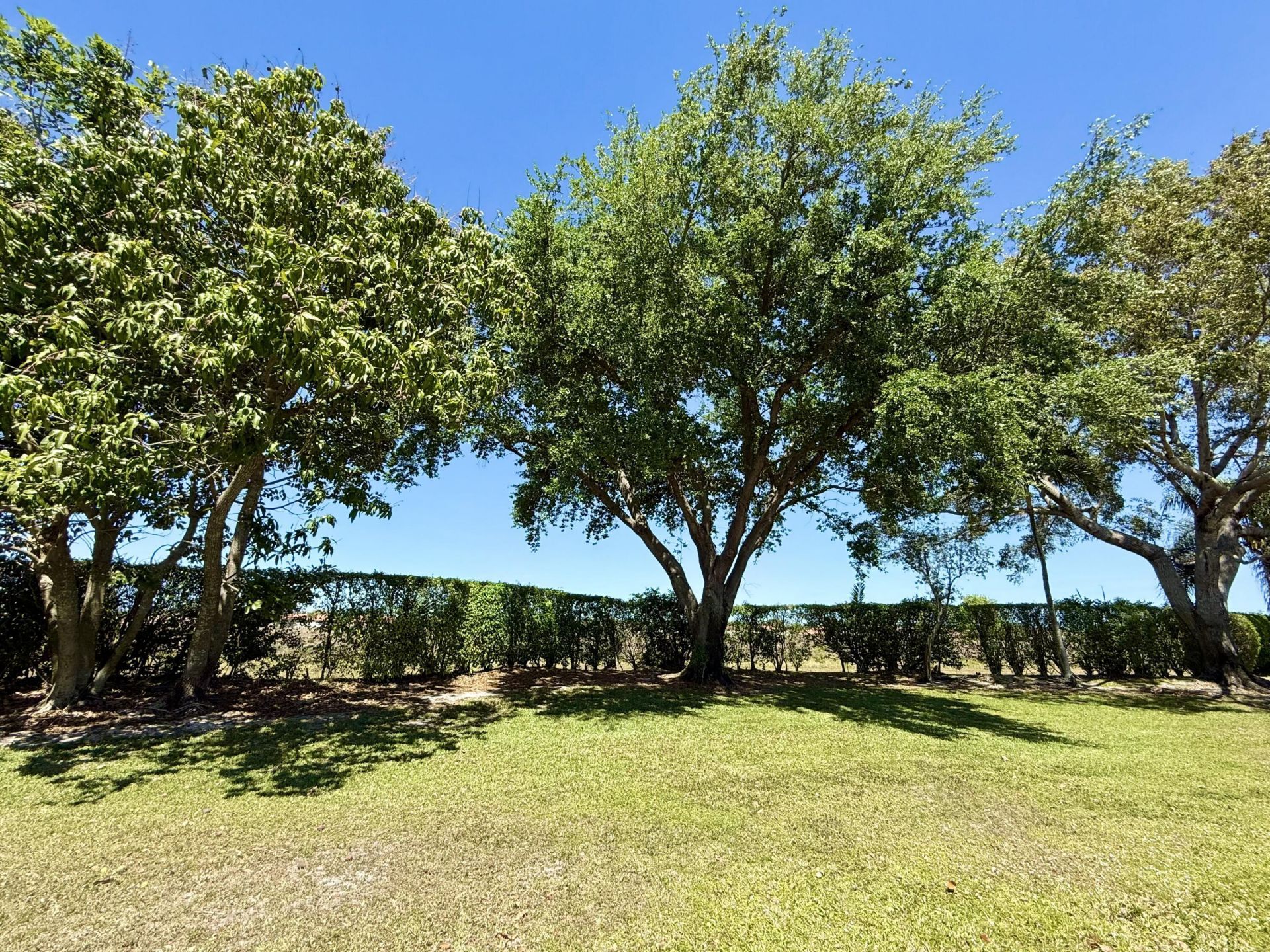 10875 Old Bridgeport Lane, Boca Raton, FL 33498 Photo