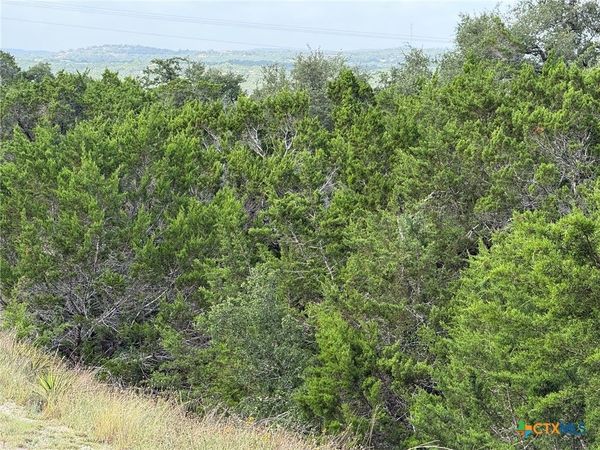 155 LIPIZZAN Lane , Spring Branch, TX 78070