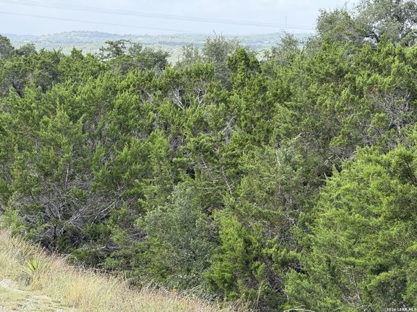 155 LIPIZZAN LN, Spring Branch, TX 78070