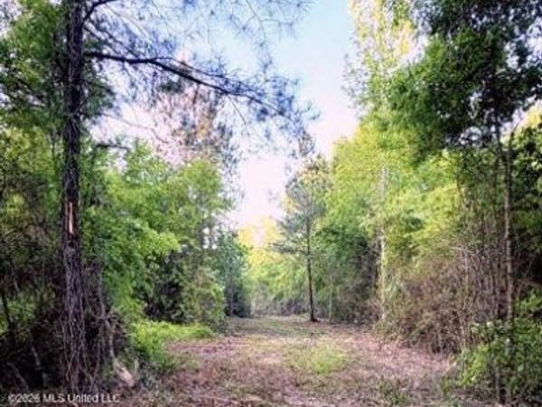 0 Darron Hodge Lane, Poplarville, MS 39470