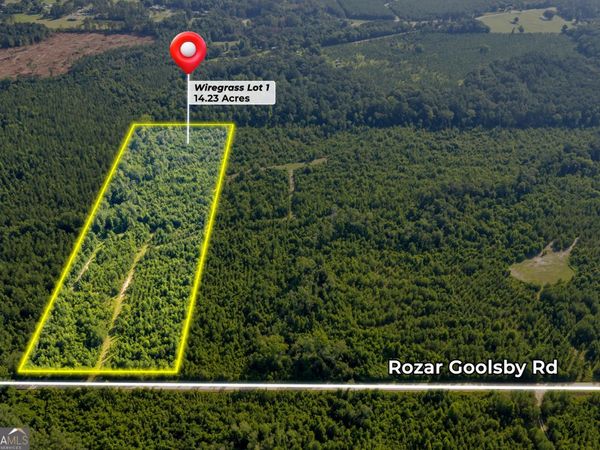 1 Rozar Goolsby Road, Eastman, GA 31023