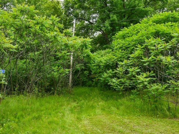 19231 Highwood Shores Road, Pine City, MN 55063