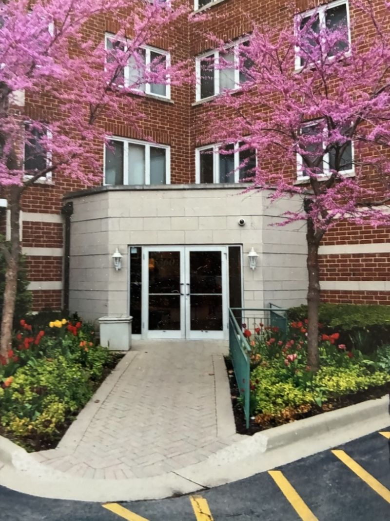 5360 N Lowell Avenue, Unit 311, Chicago, IL 60630 Main Photo
