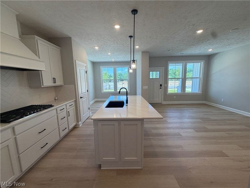 16 Paige Lane , Hudson, OH 44236 Photo 3