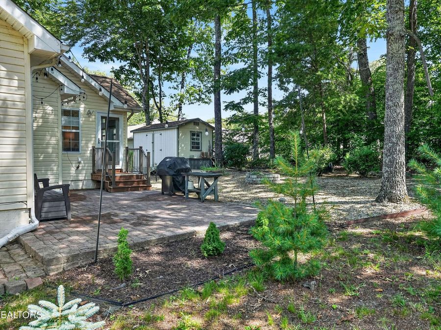 Property Image 41